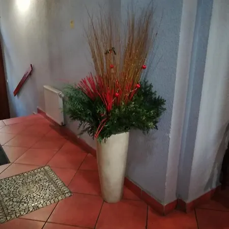 娜可福酒店 酒店 3*